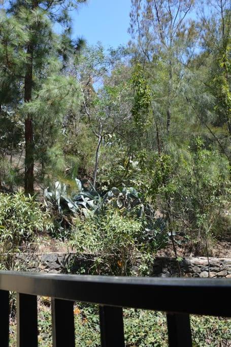Pushe Village Las Gaviotas Nature & Relax سالوبرينيا المظهر الخارجي الصورة