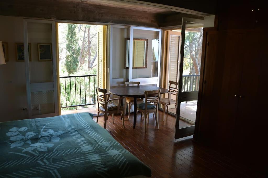 Pushe Village Las Gaviotas Nature & Relax سالوبرينيا المظهر الخارجي الصورة