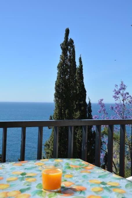Pushe Village Las Gaviotas Nature & Relax سالوبرينيا المظهر الخارجي الصورة